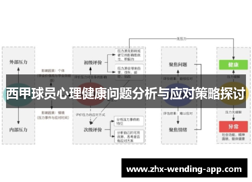 西甲球员心理健康问题分析与应对策略探讨