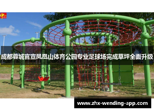 成都蓉城官宣凤凰山体育公园专业足球场完成草坪全面升级 成都蓉城官宣凤凰山体育公园专业足球场完成草坪全面升级